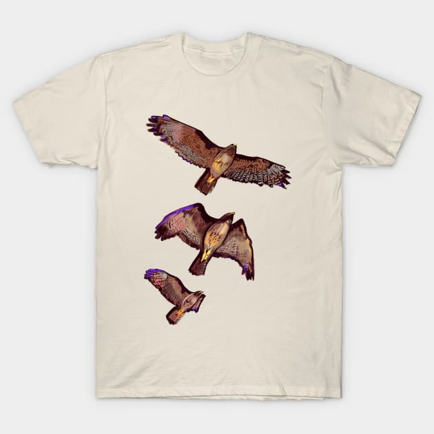 Hawks in Flight T-Shirt by Surly